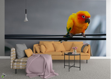 Állatos poszter TPALL041